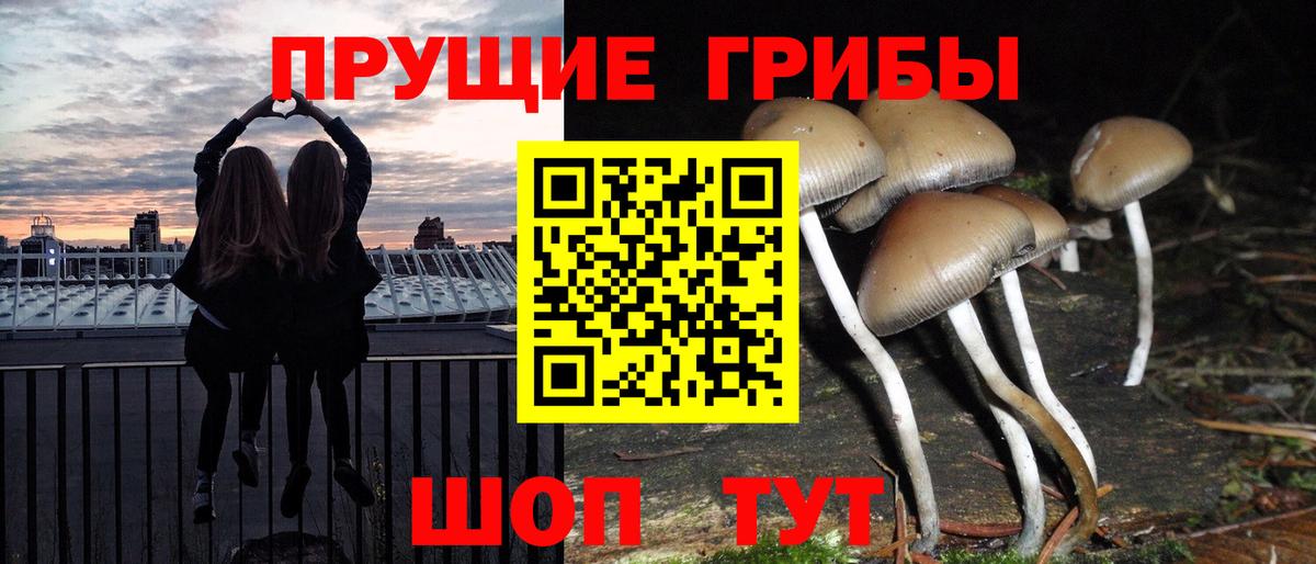 Когалым  что такое наркотик  Вход с VPN  Псилоцибиновые грибы мухоморы 