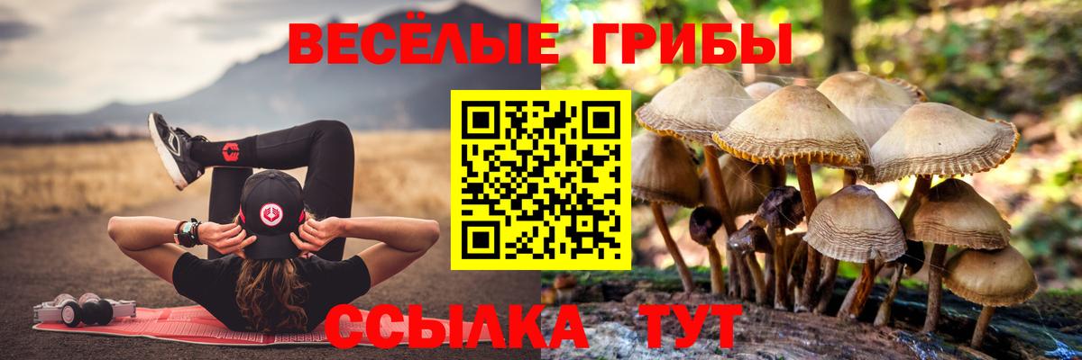 Псилоцибиновые грибы ЛСД Когалым