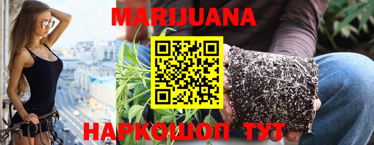 Каннабис MAZAR Когалым